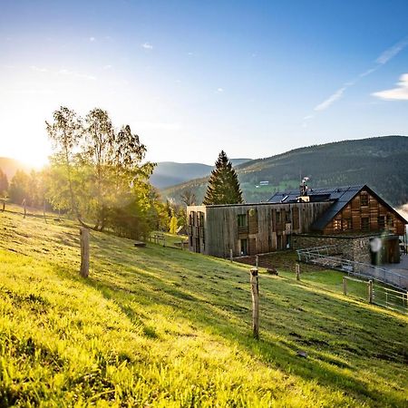 Amenity Hotel & Resort Špindlerŭv Mlýn Dış mekan fotoğraf