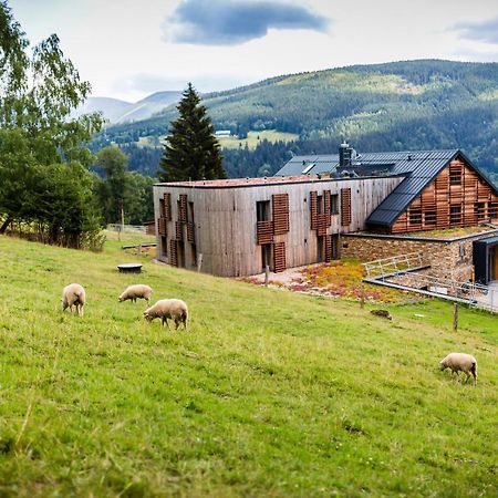 Amenity Hotel & Resort Špindlerŭv Mlýn Dış mekan fotoğraf