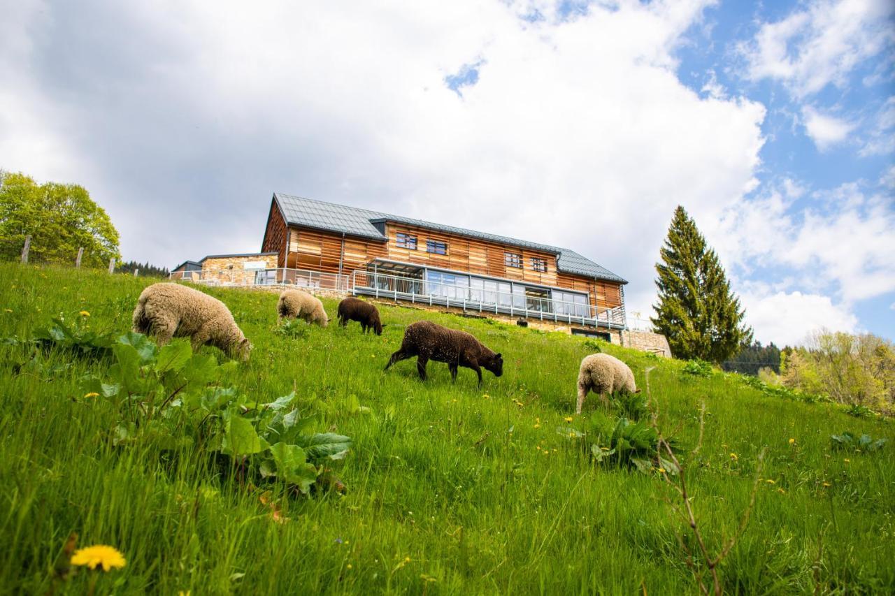 Amenity Hotel & Resort Špindlerŭv Mlýn Dış mekan fotoğraf