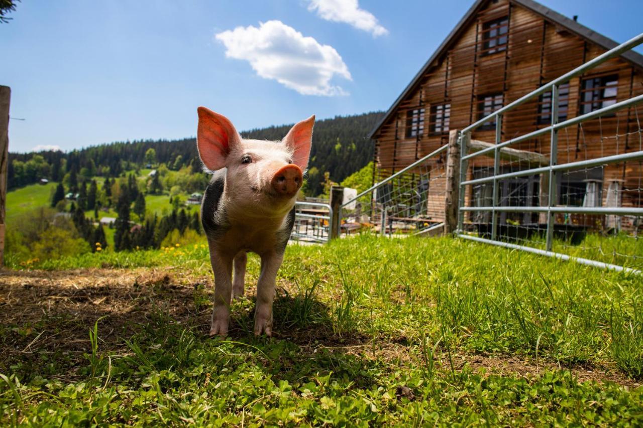 Amenity Hotel & Resort Špindlerŭv Mlýn Dış mekan fotoğraf