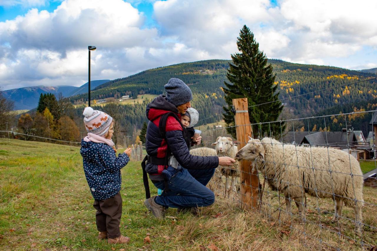 Amenity Hotel & Resort Špindlerŭv Mlýn Dış mekan fotoğraf