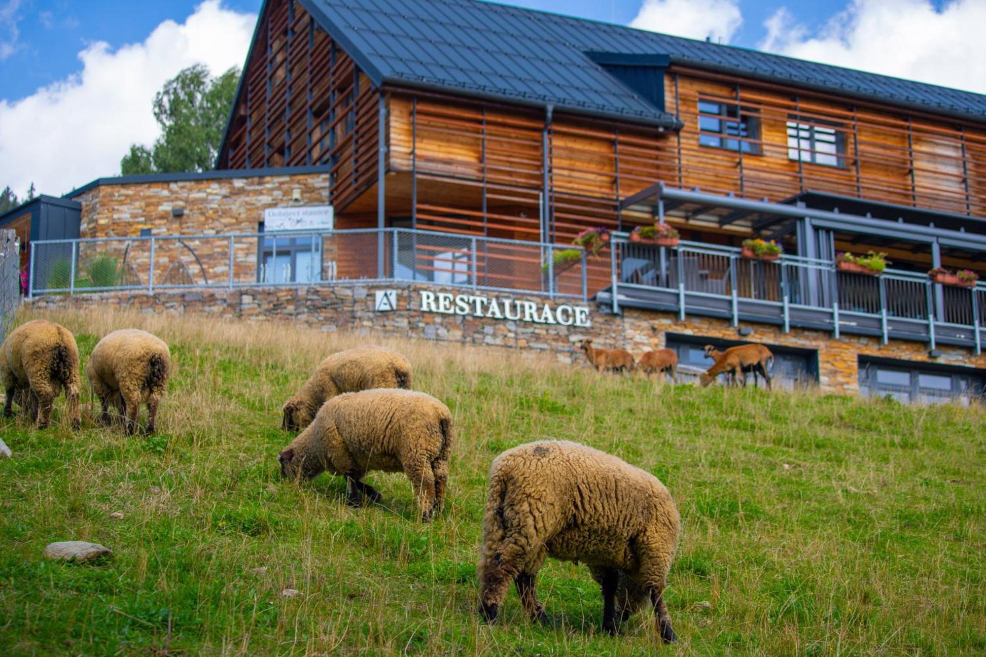 Amenity Hotel & Resort Špindlerŭv Mlýn Dış mekan fotoğraf