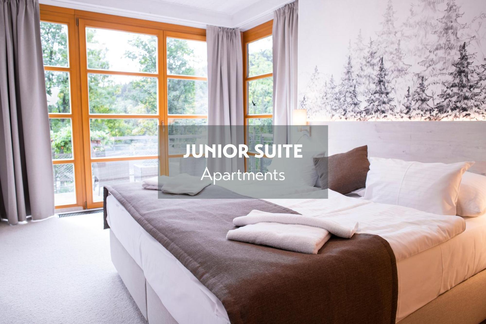 Amenity Hotel & Resort Špindlerŭv Mlýn Dış mekan fotoğraf